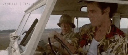 Giphy animation