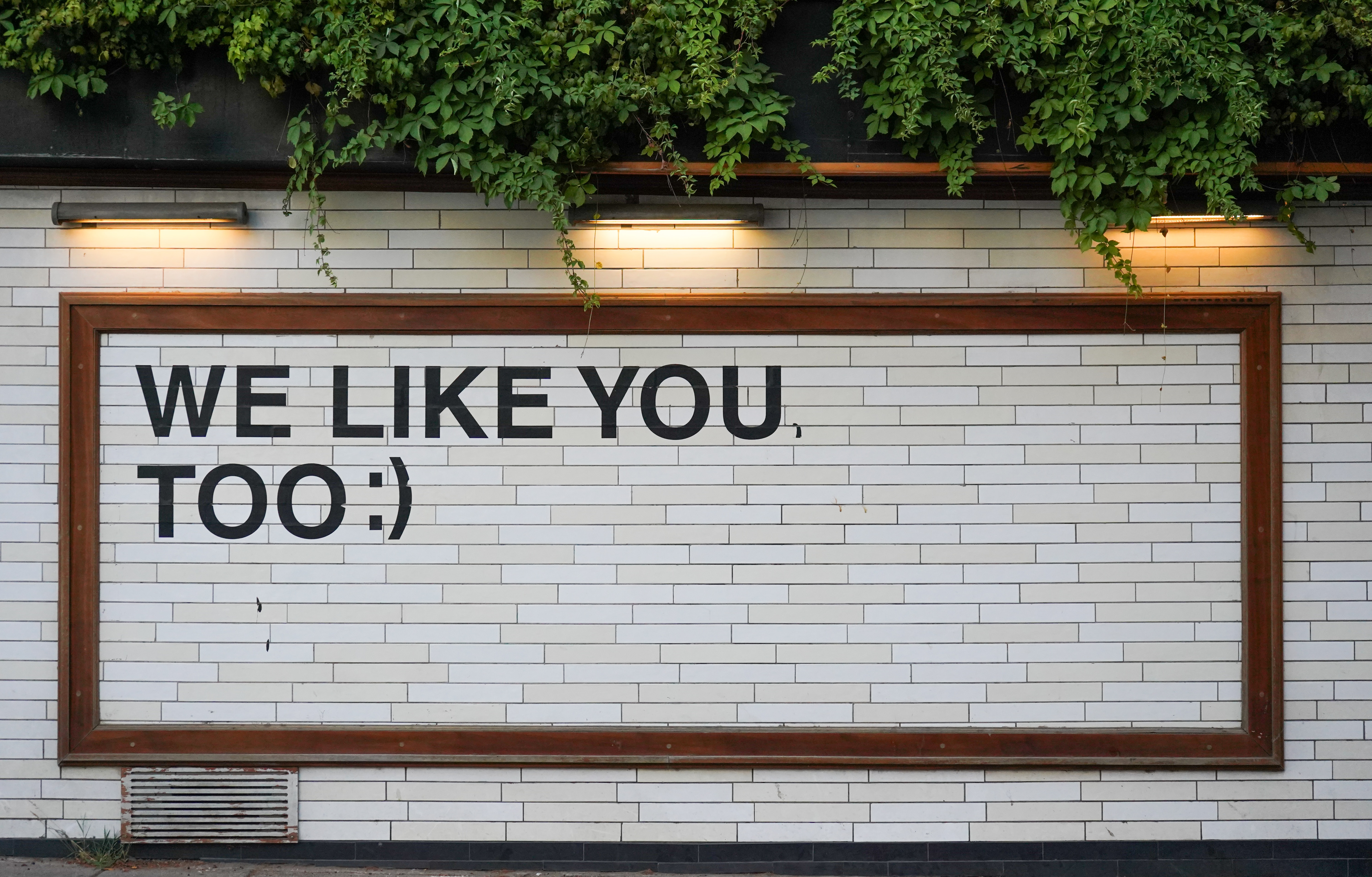 Image with the text 'We Like You Too' as illustration to the text BDSM Community: Freedom to be Me by Liz BlackX