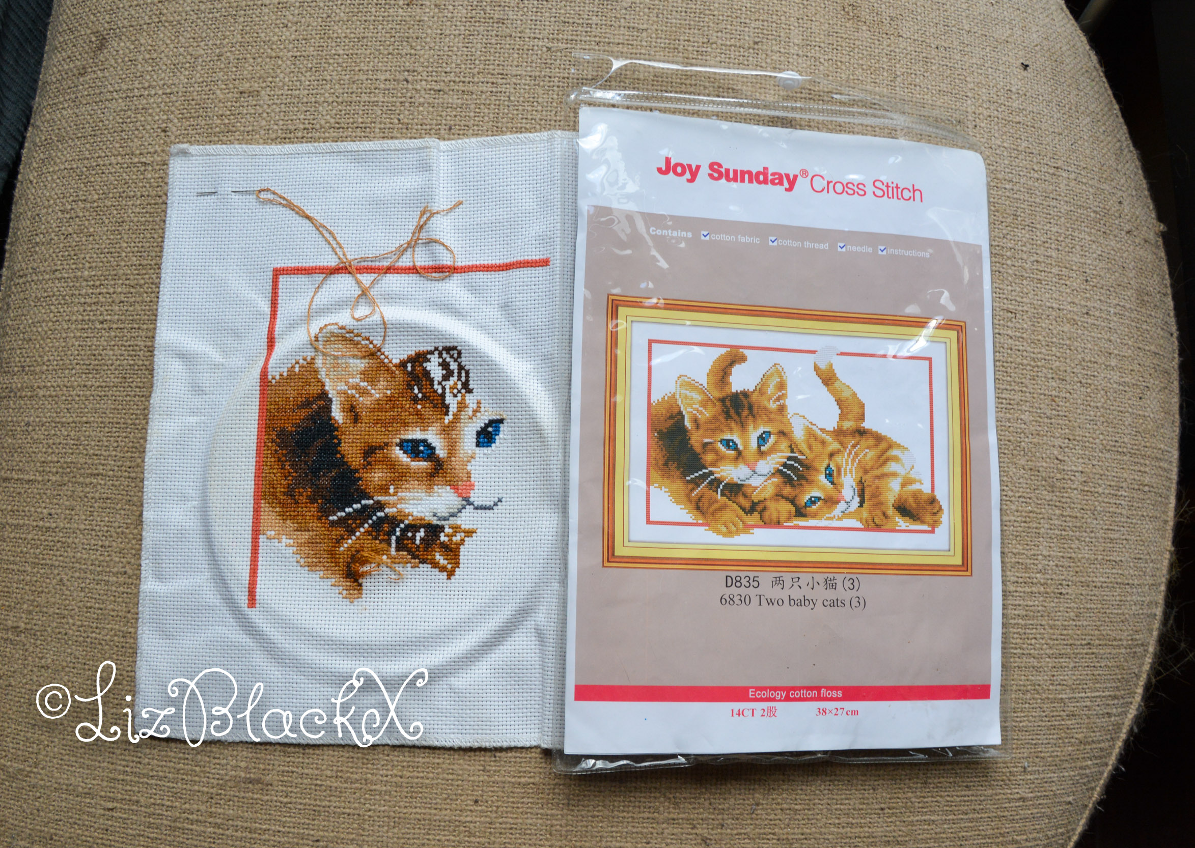 Cross stitch work of two kittens

Copyright Liz BlackX