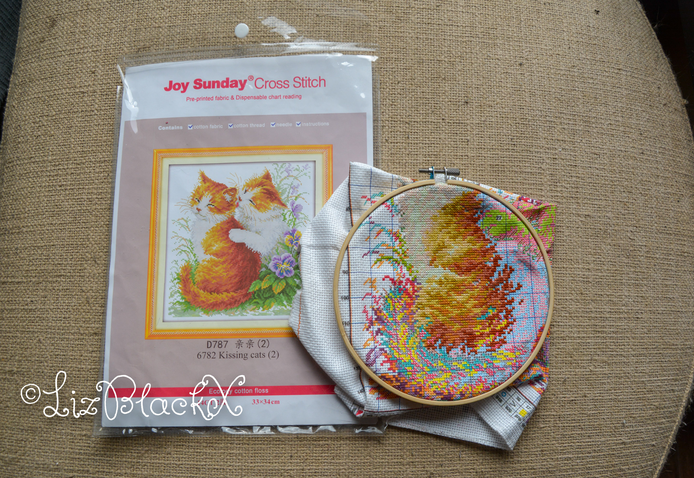 Cross stitch work of two cats

Copyright Liz BlackX