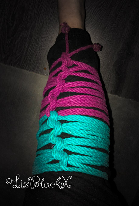 A leg in bondage
Copyright Liz BlackX