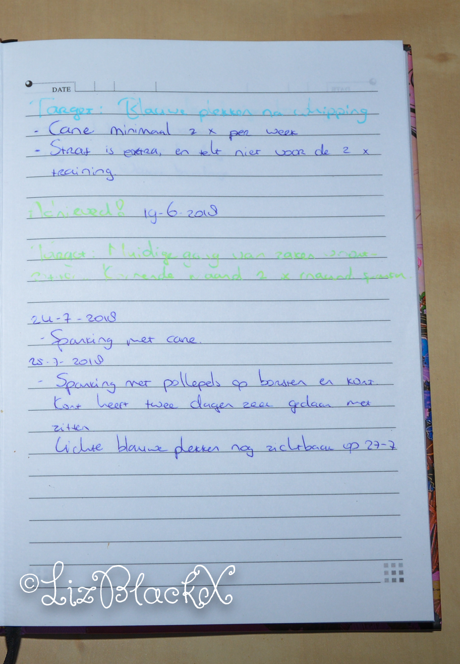 Description of tasks completed, written in Dutch, as illustration to the text by Liz BlackX