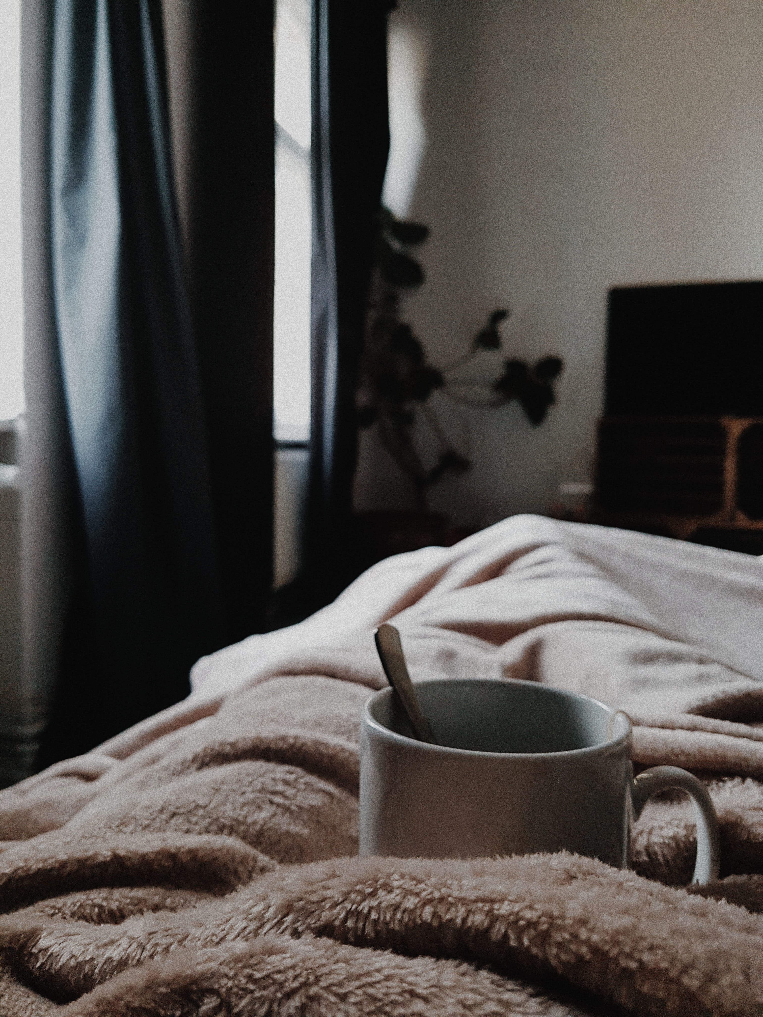 Photo by Luz Brunetti on Unsplash