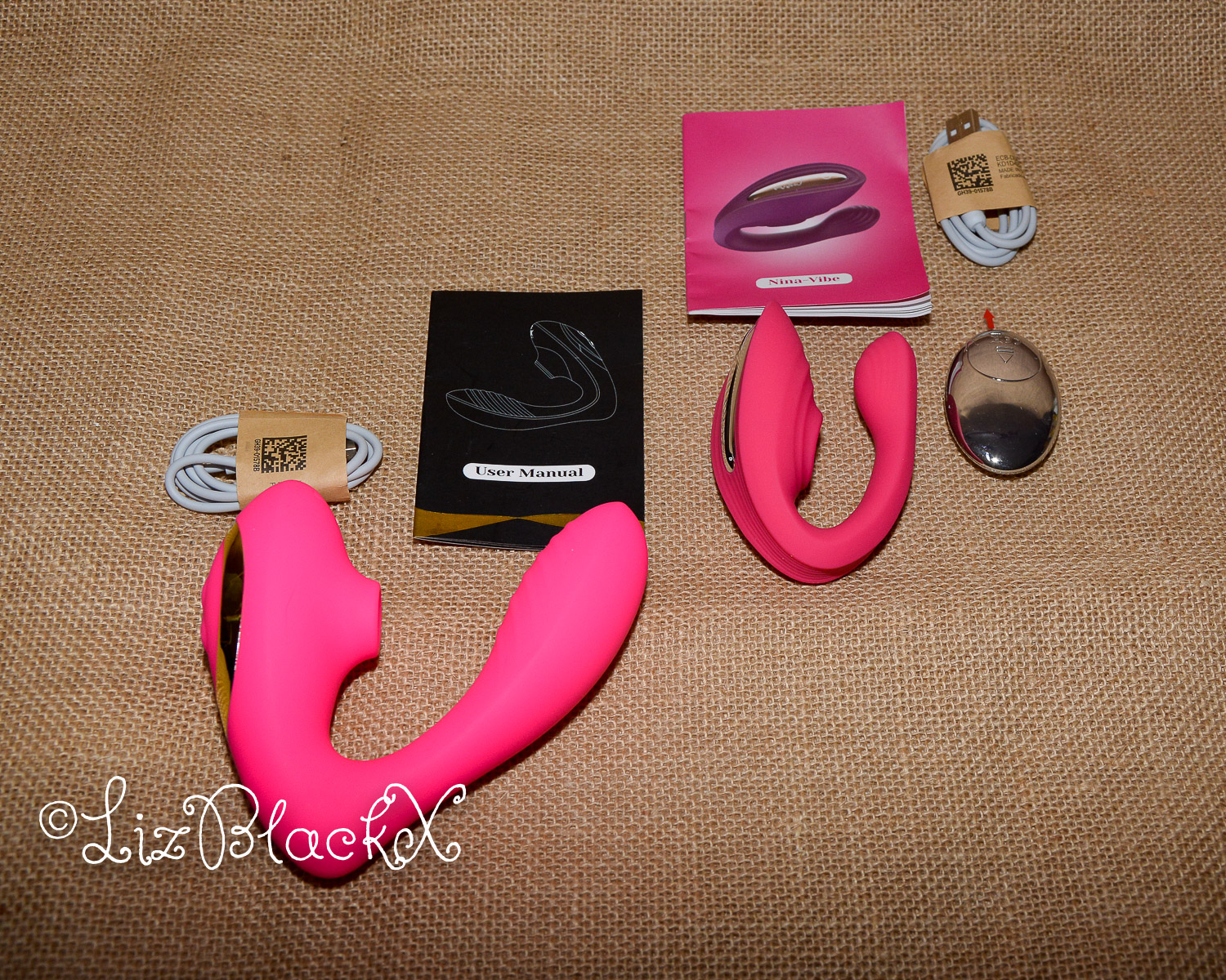 Review of Tracy's Dog WOW Holiday Gift Box  Copyright Liz BlackX